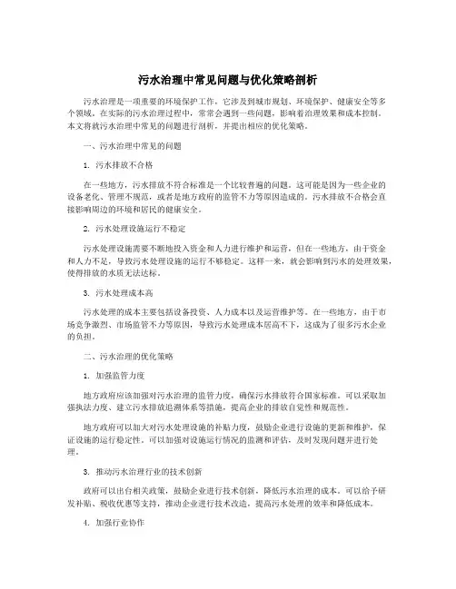 污水治理中常见问题与优化策略剖析