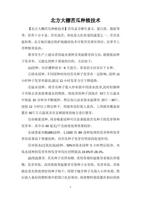 北方大棚苦瓜种植技术
