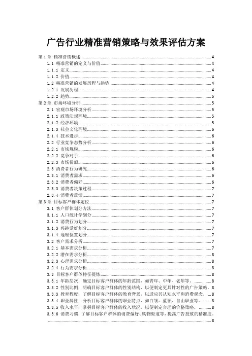 广告行业精准营销策略与效果评估方案