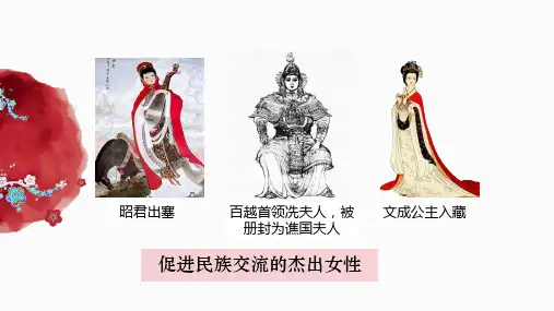 高中历史统编版(2019)选择性必修1第11课中国古代的民族关系与对外交往(共15张ppt)