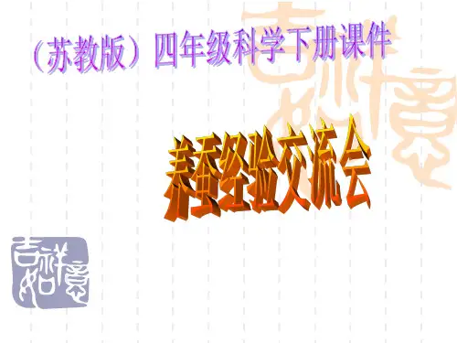 (苏教版)四年级科学下册课件_养蚕经验交流会_1