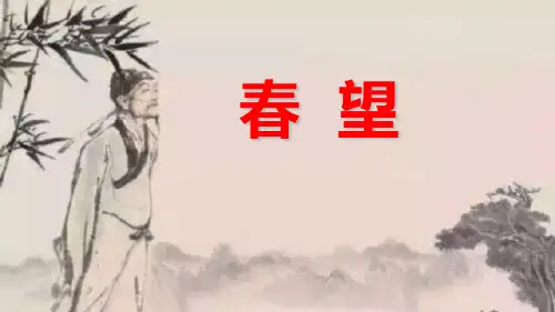 最新人教部编版八年级语文上册《春望》优质教学课件