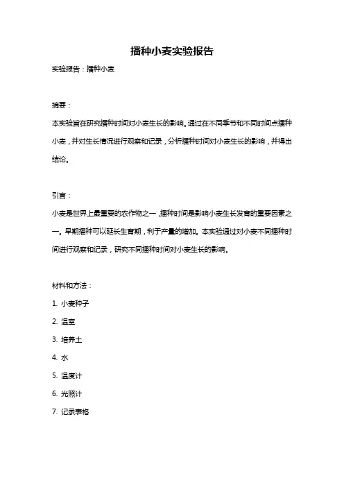 播种小麦实验报告