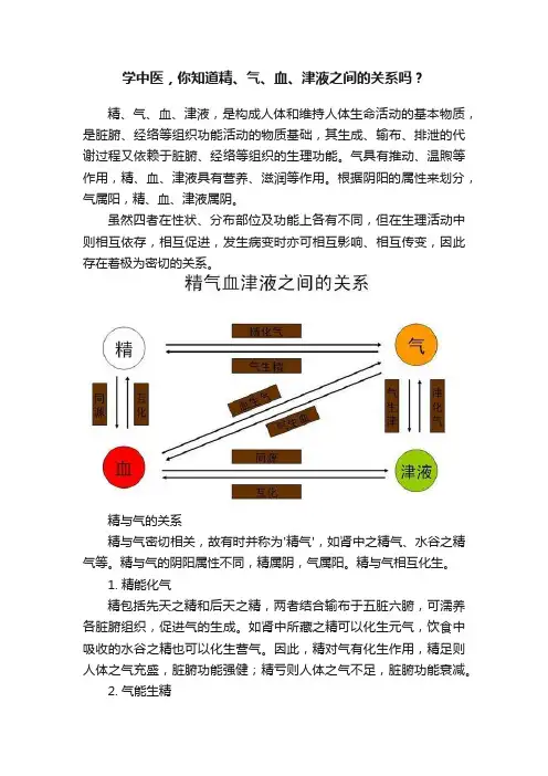学中医，你知道精、气、血、津液之间的关系吗？