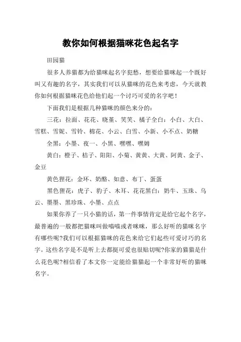 教你如何根据猫咪花色起名字