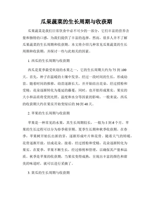 瓜果蔬菜的生长周期与收获期