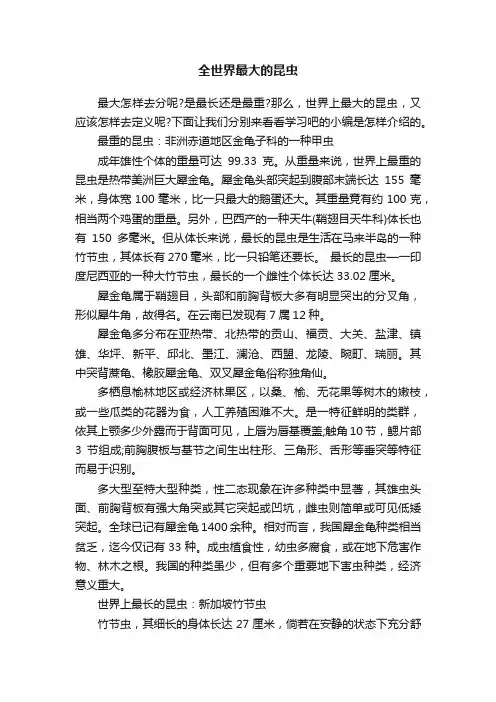 全世界最大的昆虫