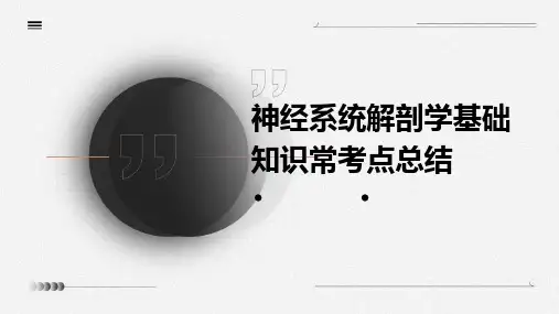 神经系统解剖学基础知识常考点总结
