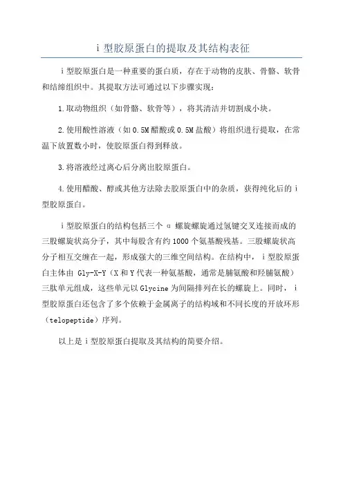 ⅰ型胶原蛋白的提取及其结构表征