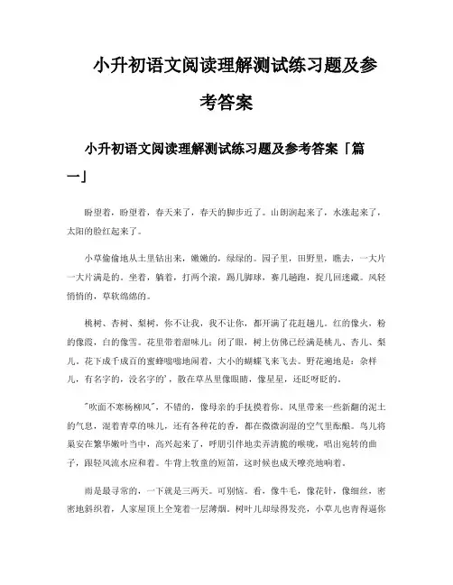 小升初语文阅读理解测试练习题及参考答案