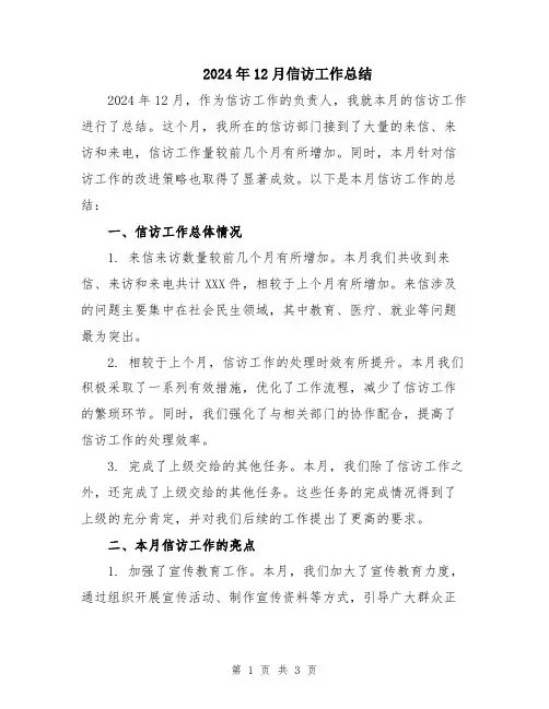 2024年12月信访工作总结