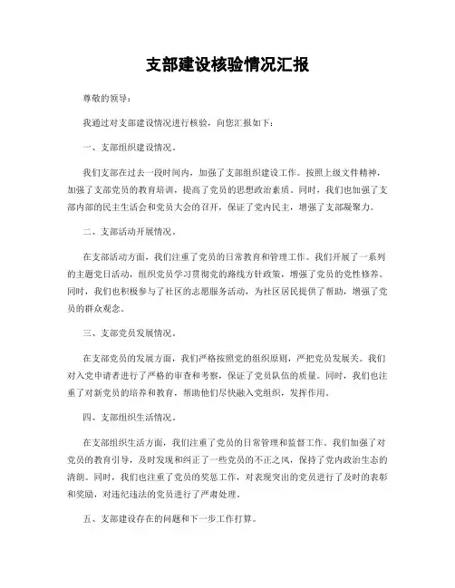 支部建设核验情况汇报