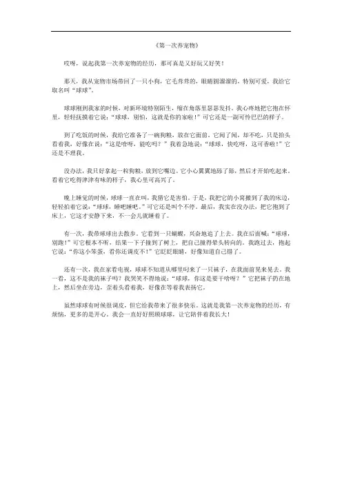 《第一次养宠物》