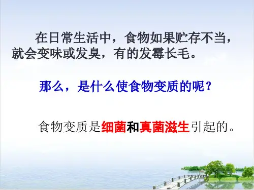 细菌和真菌的繁殖上课课件ppt浙教版