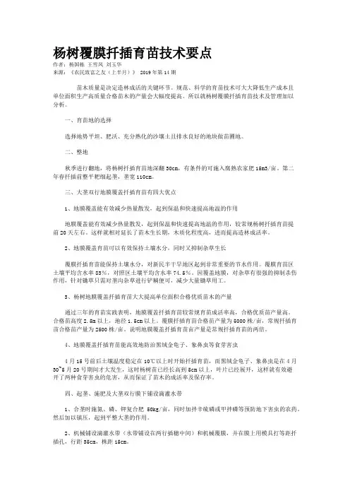 杨树覆膜扦插育苗技术要点