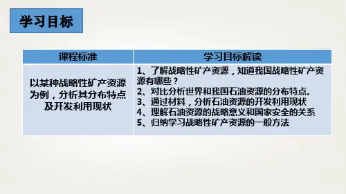 战略性资源与国家安全课件