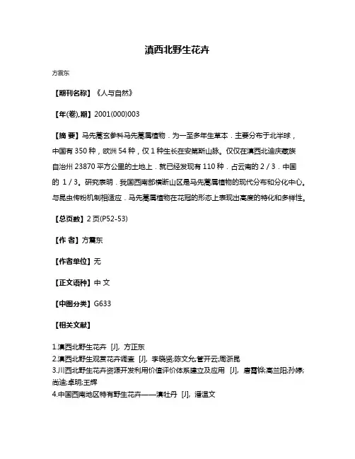 滇西北野生花卉