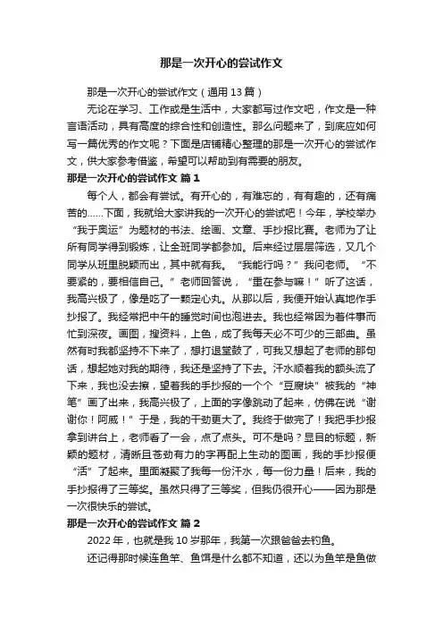 那是一次开心的尝试作文