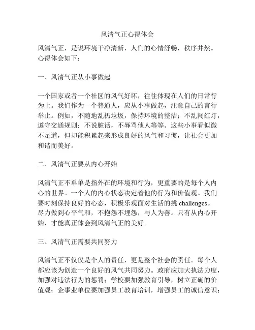 风清气正心得体会