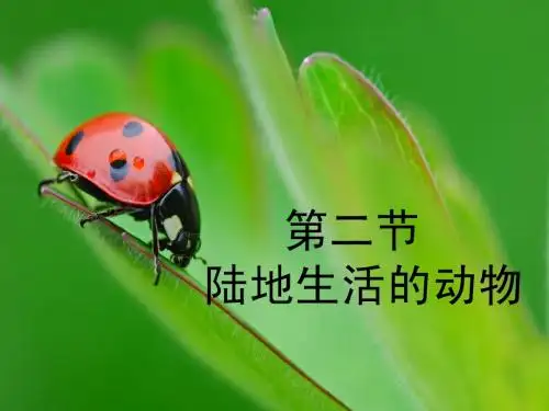八年级上册生物课件 蚯蚓