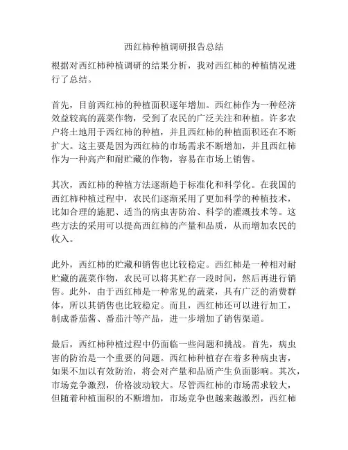 西红柿种植调研报告总结