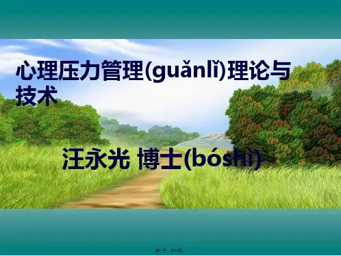 新版精品心理压力管理理论与技术(ppt资料)