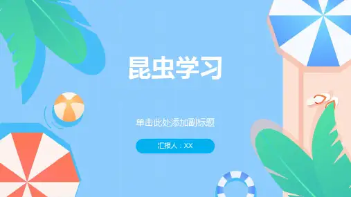 学习昆虫精品文档