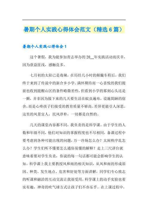 暑期个人实践心得体会范文(精选6篇)