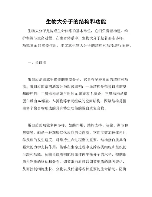 生物大分子的结构和功能