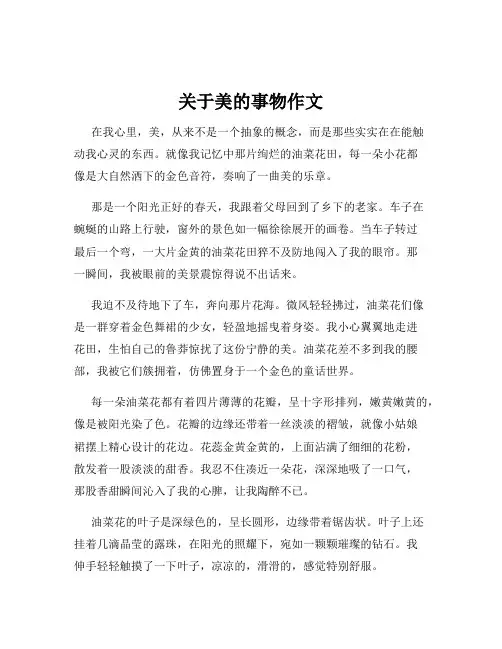关于美的事物作文