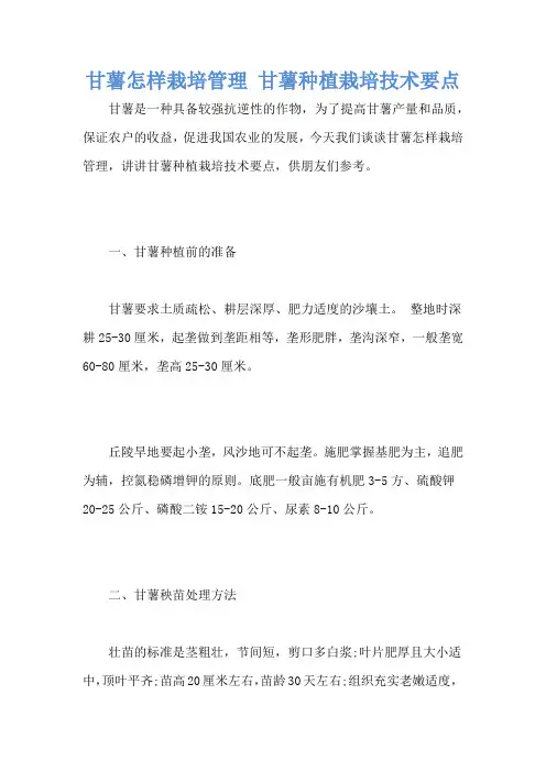 甘薯怎样栽培管理 甘薯种植栽培技术要点