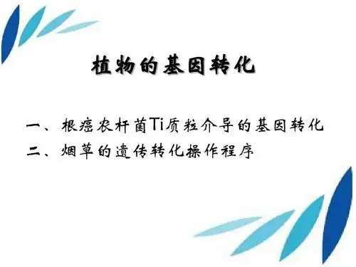 植物的基因转化