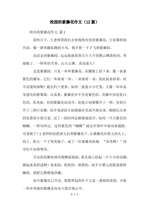 校园的紫藤花作文(12篇)