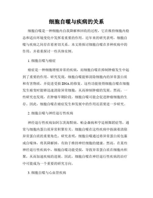 细胞自噬与疾病的关系