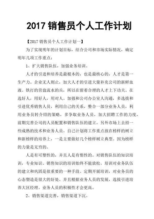 2017销售员个人工作计划