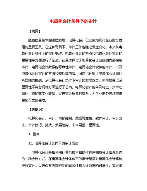 电算化会计条件下的审计