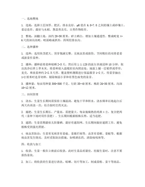 云南大姜种植管理技术规程