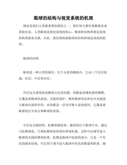 眼球的结构与视觉系统的机理