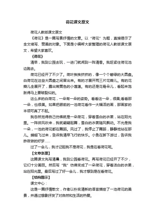 荷花人教版课文原文
