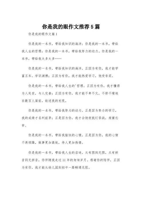 你是我的眼作文推荐5篇