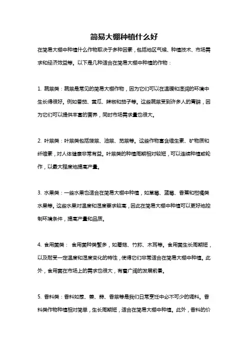 简易大棚种植什么好