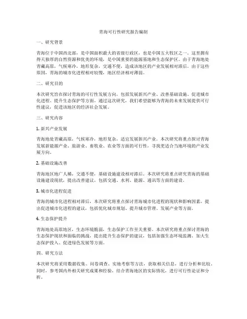 青海可行性研究报告编制