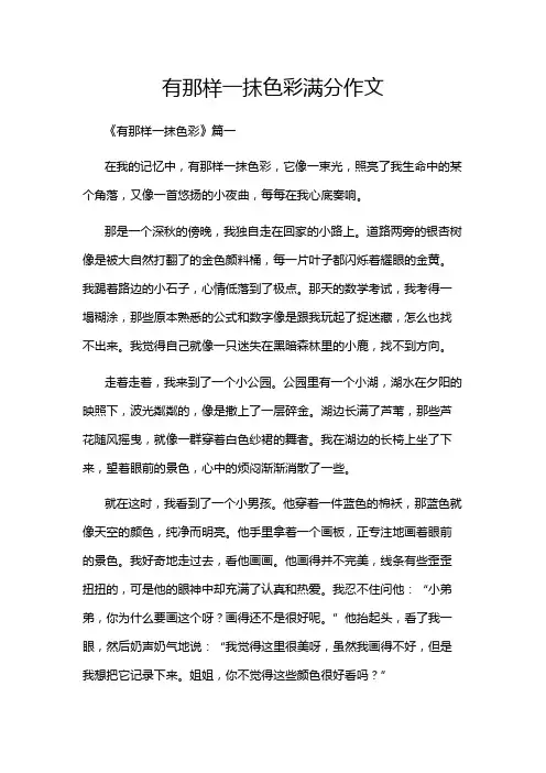 有那样一抹色彩满分作文
