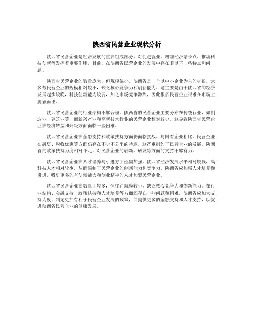 陕西省民营企业现状分析
