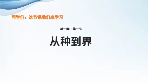 《从种到界》PPT课件下载