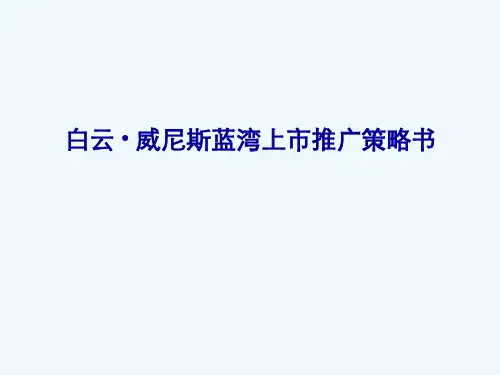 威尼斯蓝湾上市推广策略书