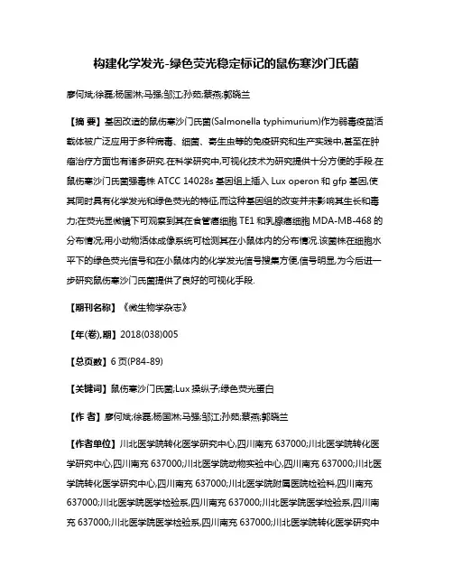 构建化学发光-绿色荧光稳定标记的鼠伤寒沙门氏菌
