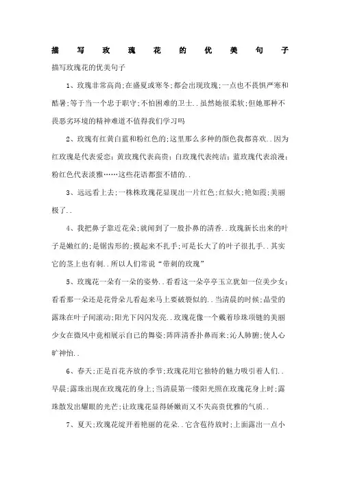 描写玫瑰花的优美句子