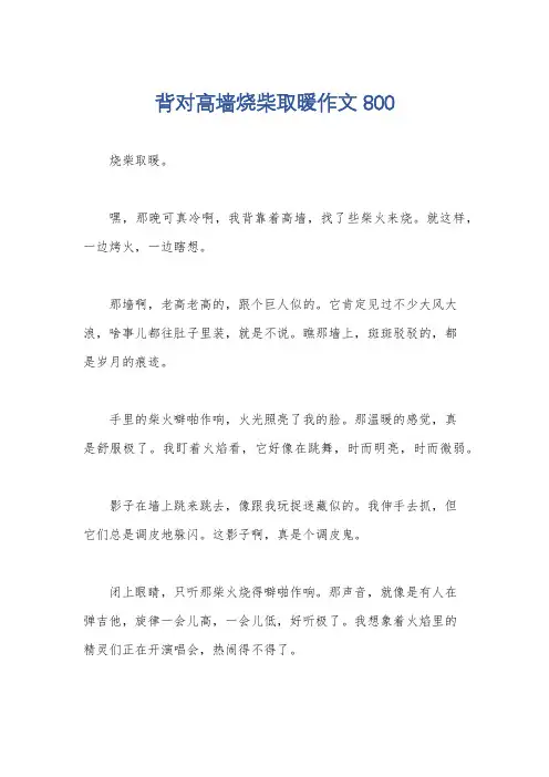 背对高墙烧柴取暖作文800