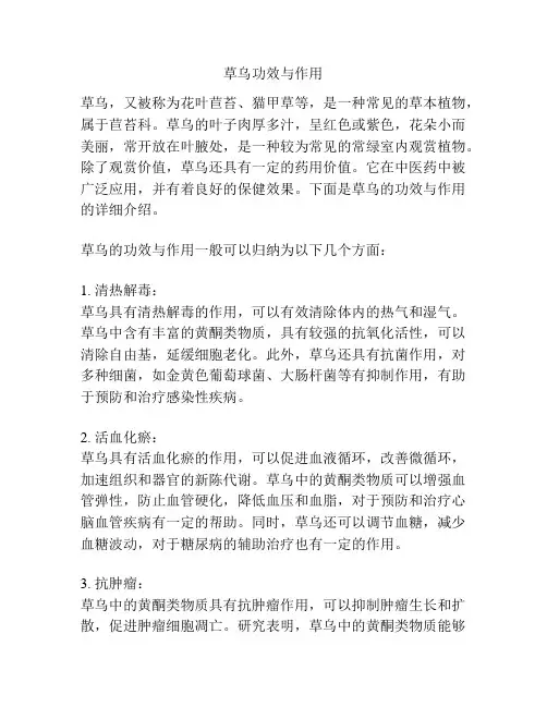 草乌功效与作用